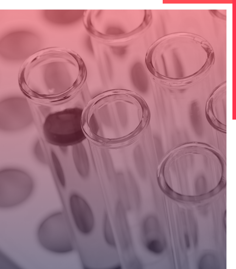 Automating the Appeals and Grievance Process